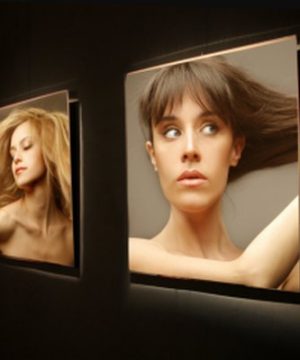 Coala Poster Gloss