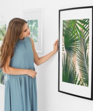 Coala Poster Semi-Gloss