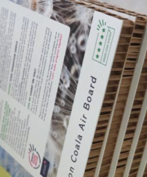Coala Air Board 2D