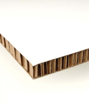 Coala Air Board 3D