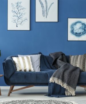Coala Photo Gloss