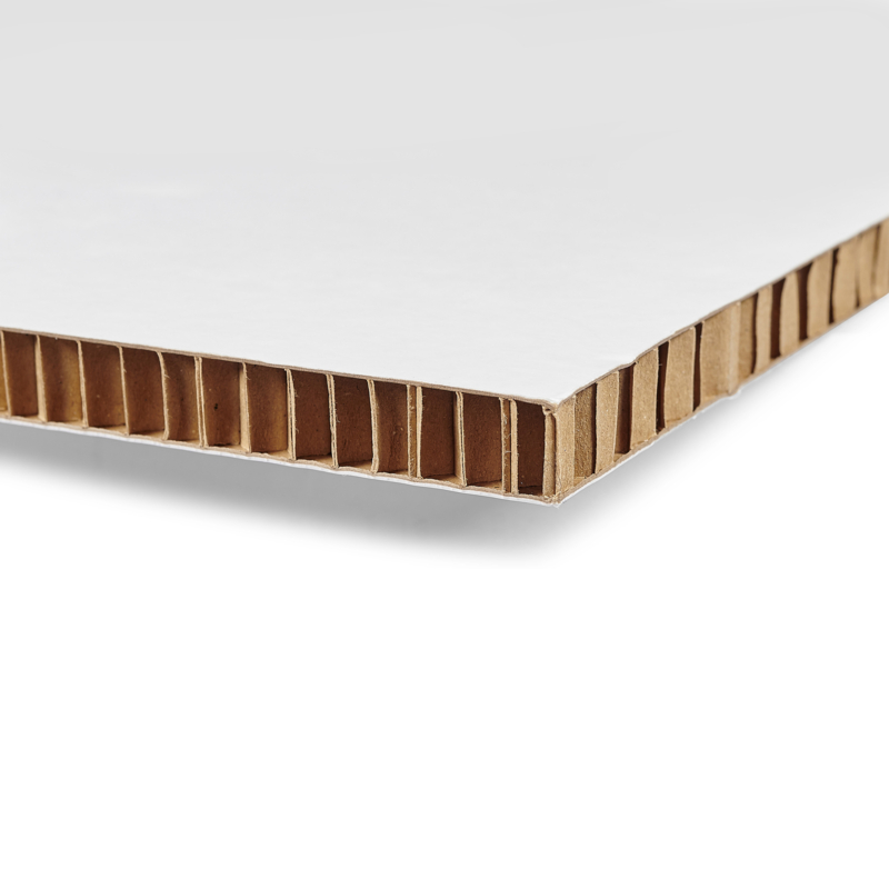 Coala Air Board 2D - Image 4